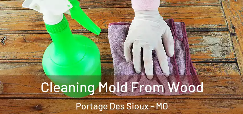 Cleaning Mold From Wood Portage Des Sioux - MO