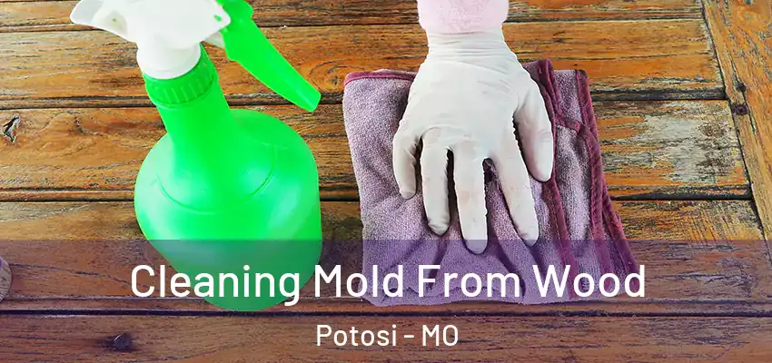 Cleaning Mold From Wood Potosi - MO