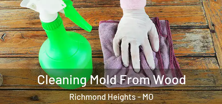 Cleaning Mold From Wood Richmond Heights - MO