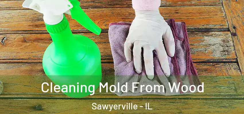  Cleaning Mold From Wood Sawyerville - IL