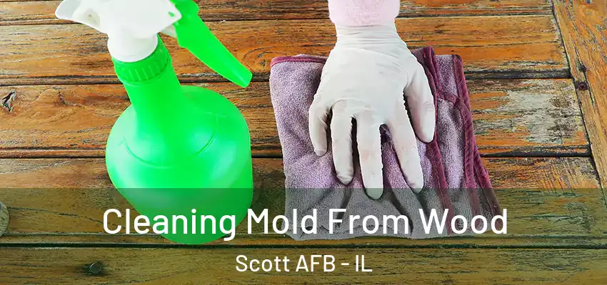  Cleaning Mold From Wood Scott AFB - IL