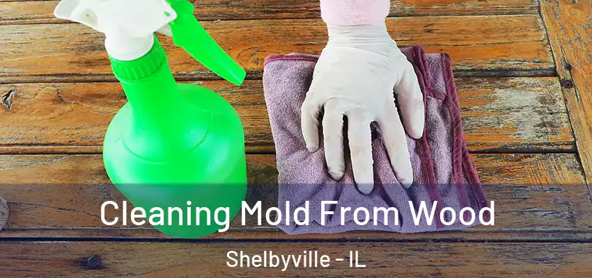 Cleaning Mold From Wood Shelbyville - IL
