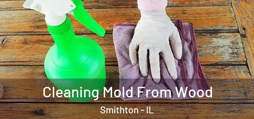  Cleaning Mold From Wood Smithton - IL