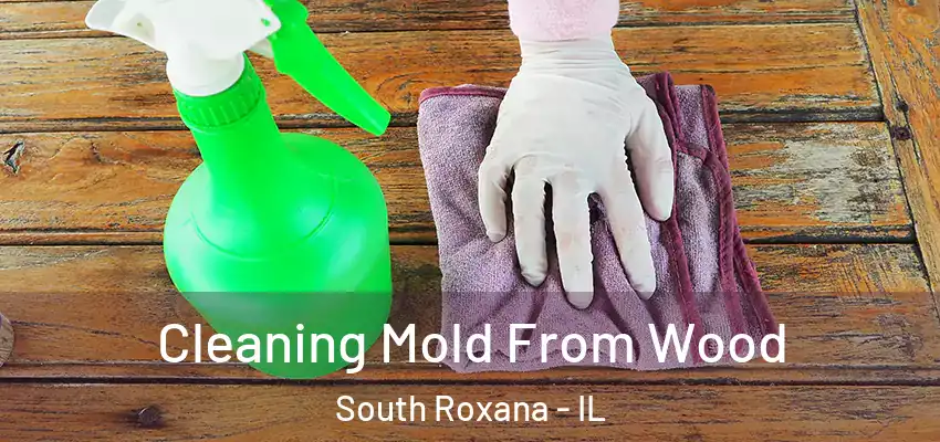  Cleaning Mold From Wood South Roxana - IL