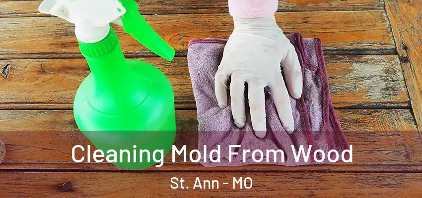  Cleaning Mold From Wood St. Ann - MO