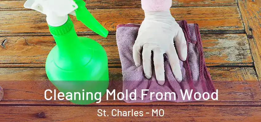  Cleaning Mold From Wood St. Charles - MO
