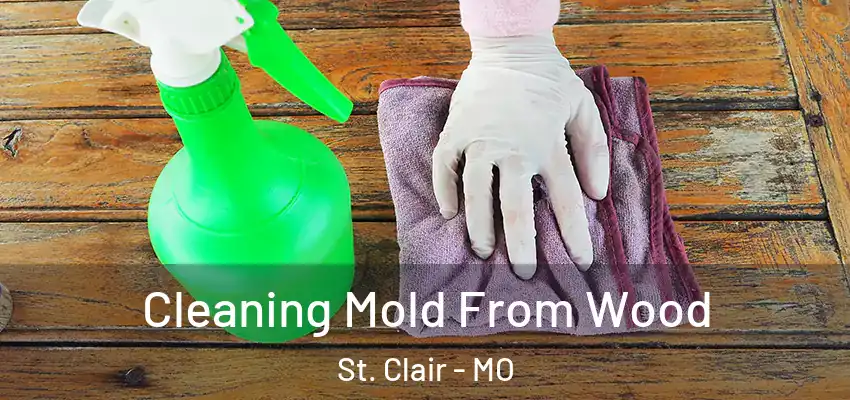  Cleaning Mold From Wood St. Clair - MO