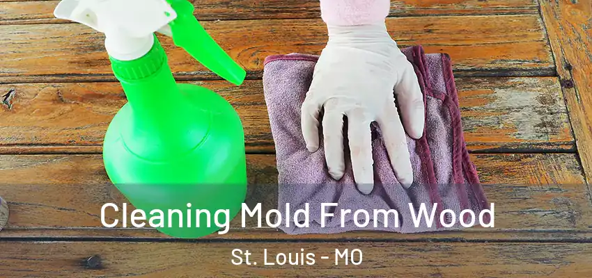  Cleaning Mold From Wood St. Louis - MO