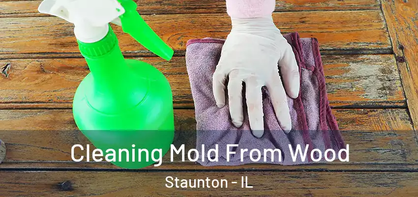  Cleaning Mold From Wood Staunton - IL