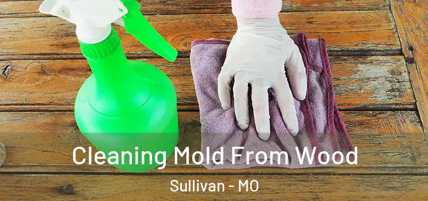  Cleaning Mold From Wood Sullivan - MO