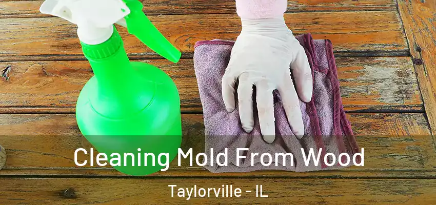 Cleaning Mold From Wood Taylorville - IL