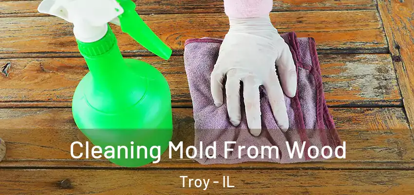  Cleaning Mold From Wood Troy - IL