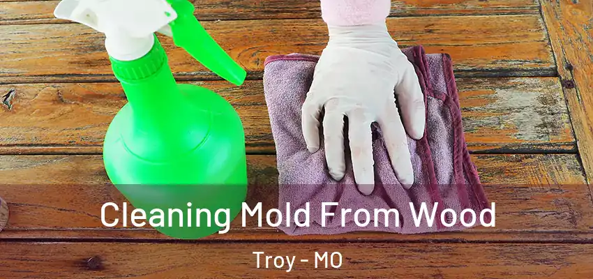  Cleaning Mold From Wood Troy - MO