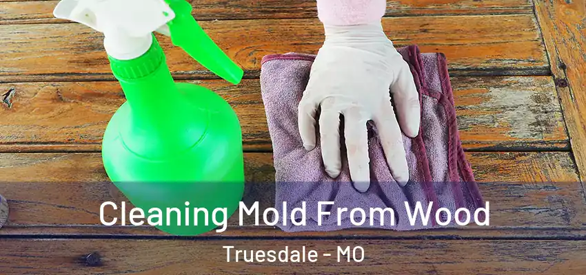 Cleaning Mold From Wood Truesdale - MO