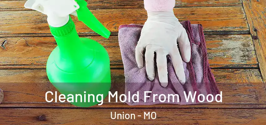  Cleaning Mold From Wood Union - MO