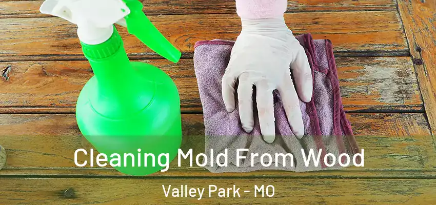  Cleaning Mold From Wood Valley Park - MO