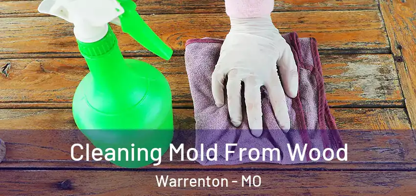  Cleaning Mold From Wood Warrenton - MO