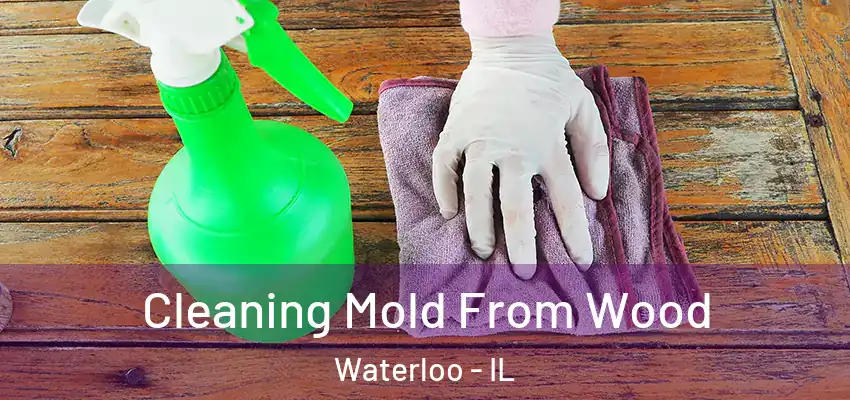  Cleaning Mold From Wood Waterloo - IL