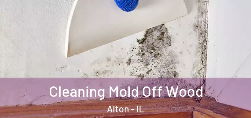  Cleaning Mold Off Wood Alton - IL