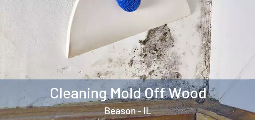 Cleaning Mold Off Wood Beason - IL