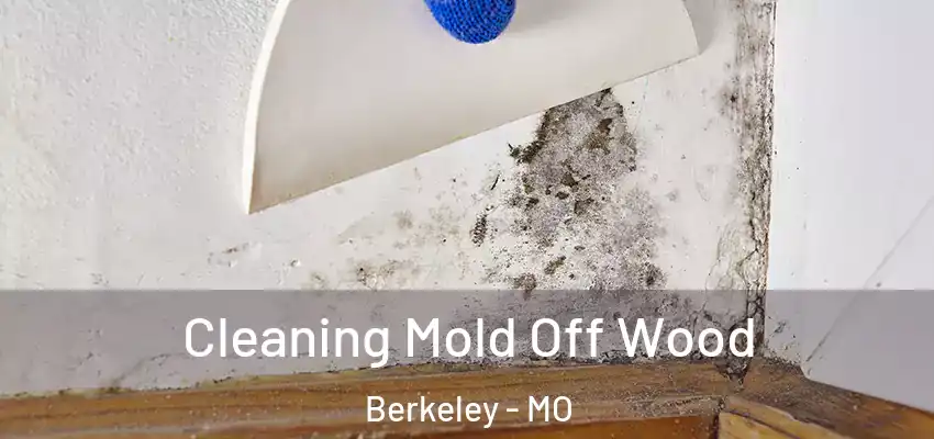  Cleaning Mold Off Wood Berkeley - MO