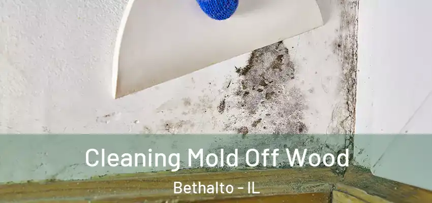  Cleaning Mold Off Wood Bethalto - IL