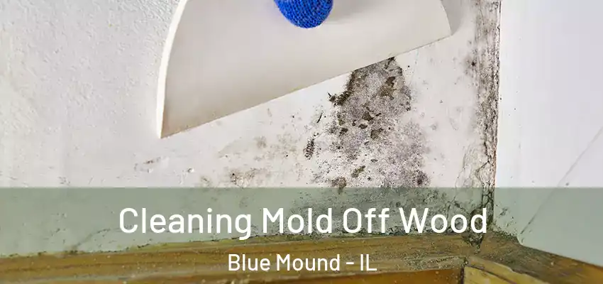  Cleaning Mold Off Wood Blue Mound - IL