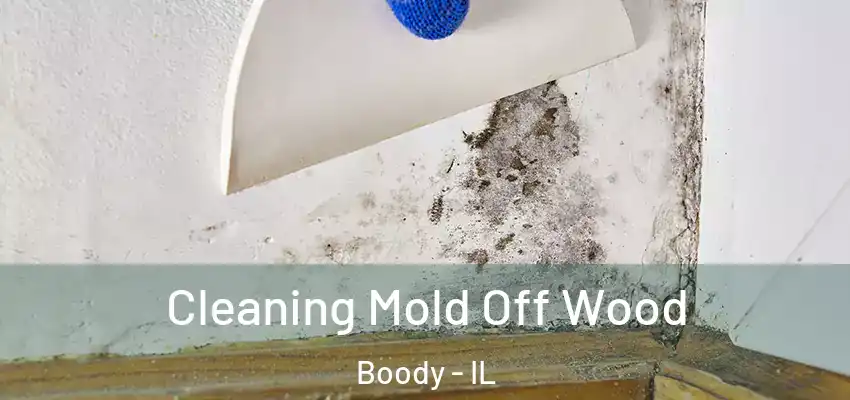  Cleaning Mold Off Wood Boody - IL