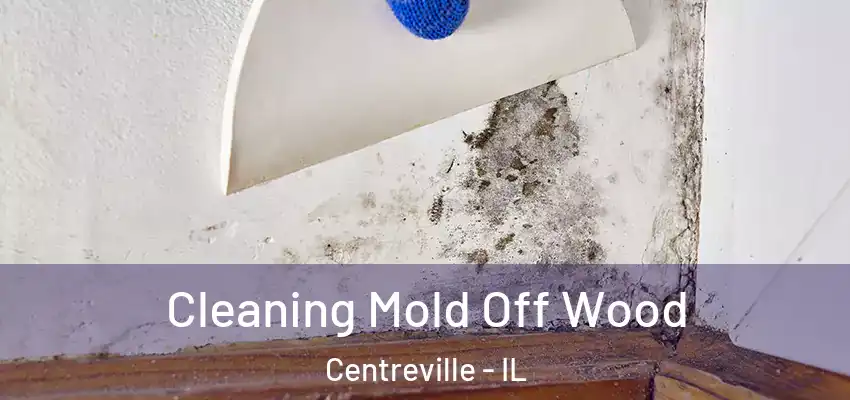  Cleaning Mold Off Wood Centreville - IL