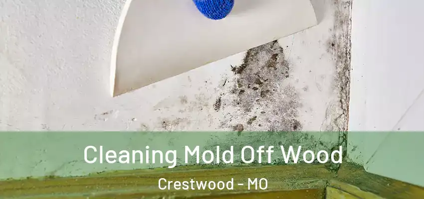  Cleaning Mold Off Wood Crestwood - MO