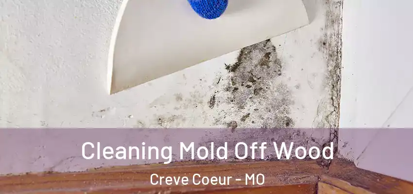  Cleaning Mold Off Wood Creve Coeur - MO