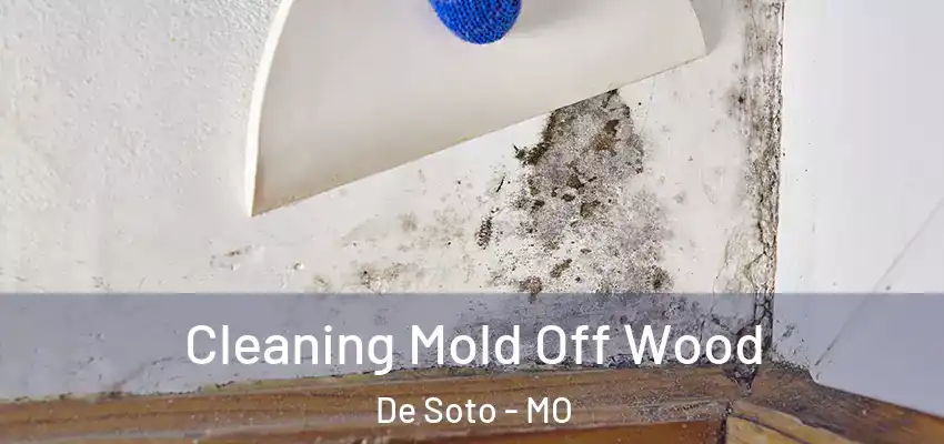  Cleaning Mold Off Wood De Soto - MO
