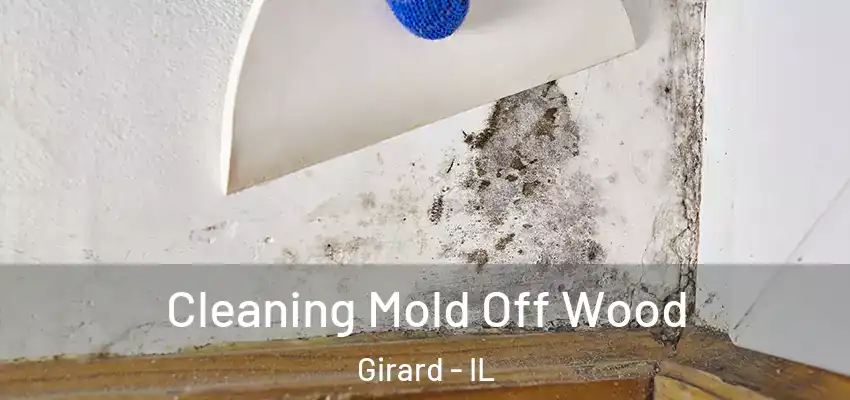  Cleaning Mold Off Wood Girard - IL