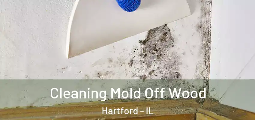  Cleaning Mold Off Wood Hartford - IL