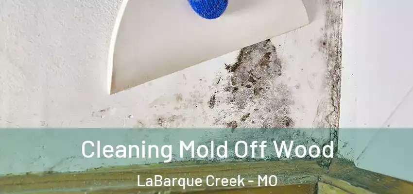  Cleaning Mold Off Wood LaBarque Creek - MO