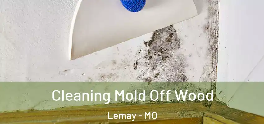  Cleaning Mold Off Wood Lemay - MO