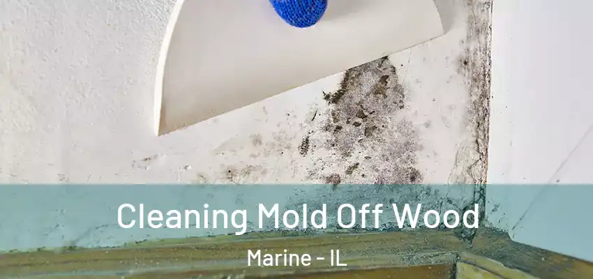  Cleaning Mold Off Wood Marine - IL