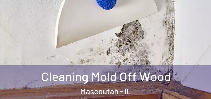  Cleaning Mold Off Wood Mascoutah - IL