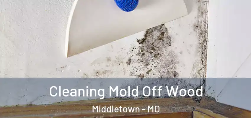  Cleaning Mold Off Wood Middletown - MO