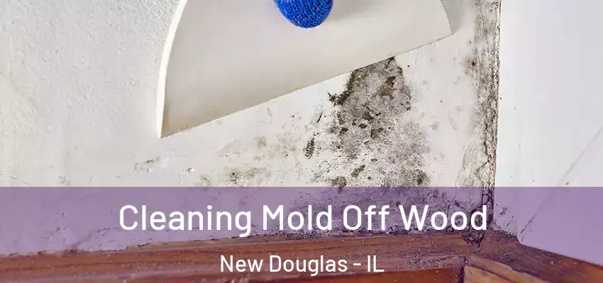  Cleaning Mold Off Wood New Douglas - IL