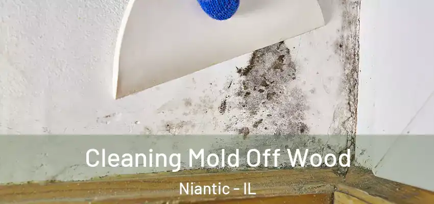 Cleaning Mold Off Wood Niantic - IL