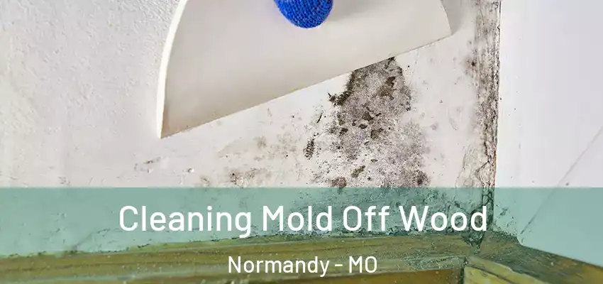  Cleaning Mold Off Wood Normandy - MO