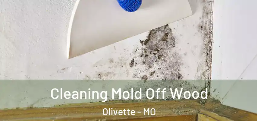  Cleaning Mold Off Wood Olivette - MO