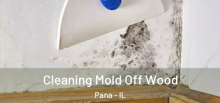  Cleaning Mold Off Wood Pana - IL