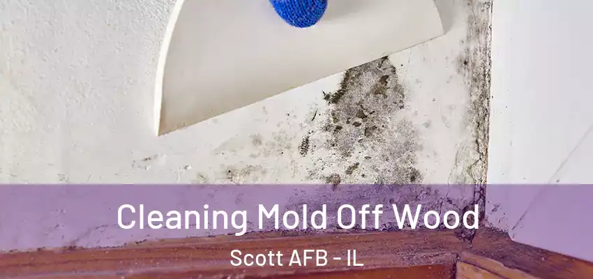  Cleaning Mold Off Wood Scott AFB - IL