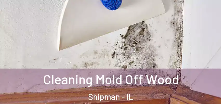  Cleaning Mold Off Wood Shipman - IL