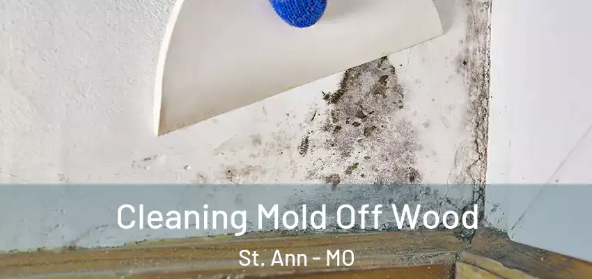  Cleaning Mold Off Wood St. Ann - MO
