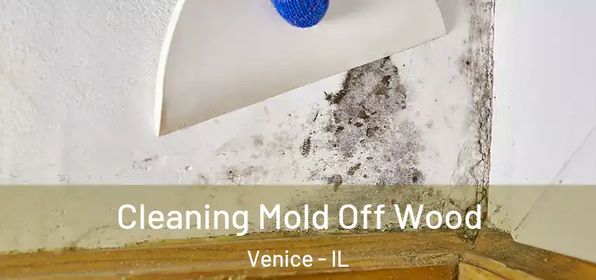  Cleaning Mold Off Wood Venice - IL