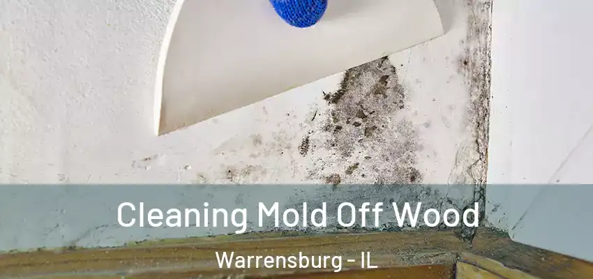  Cleaning Mold Off Wood Warrensburg - IL