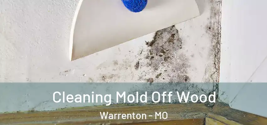  Cleaning Mold Off Wood Warrenton - MO